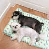 Afbeelding in Gallery-weergave laden, ChillMat™ - Koelmat voor Honden en Katten | Comfortabel - Ademend Materiaal - Fijne Afwerking - Overal Meenemen - Makkelijk Reinigen