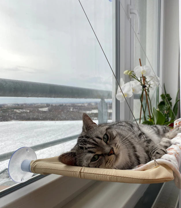 ChillCat™ - Kattenhangmat | Voor aan het raam - Comfortabel - Ruimtebesparend - Rustplek met Uitzicht - Eenvoudig Installeren - Sterke Zuignappen