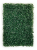 Buxus Indoor én Outdoor Plantenpaneel 60x40cm | Een groene muur ZONDER onderhoud