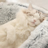 SnoozeNest™ - Slaapmand voor jouw 🐈🐩 | Pluche - Fijne Afwerking | Privacy & Veilig gevoel